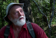 Searching a Steephead for the Apalachicola Dusky Salamander Man in red shirt sitting in forest