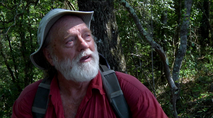 Searching a Steephead for the Apalachicola Dusky Salamander Man in red shirt sitting in forest
