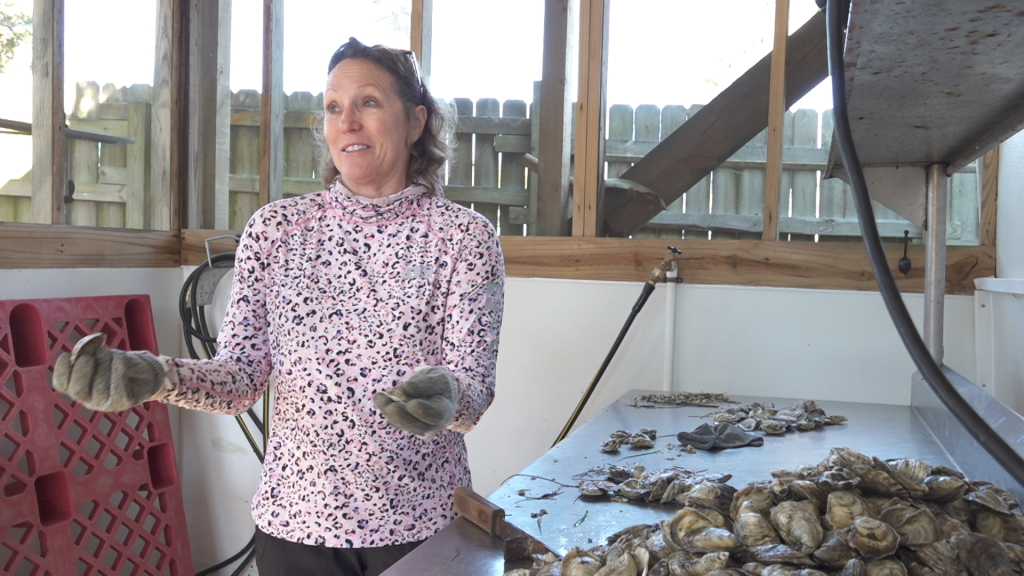 A woman holding a her hands out with a pile of oysters next to her.