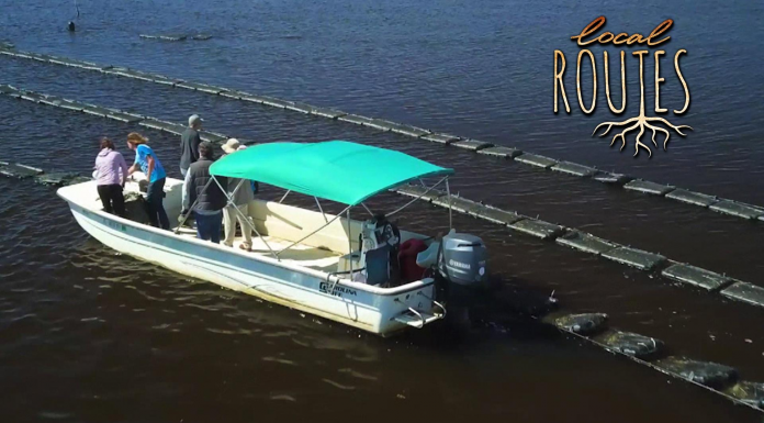 EcoAdventures for Earth Day (Episode 710) A small boat in a body of water