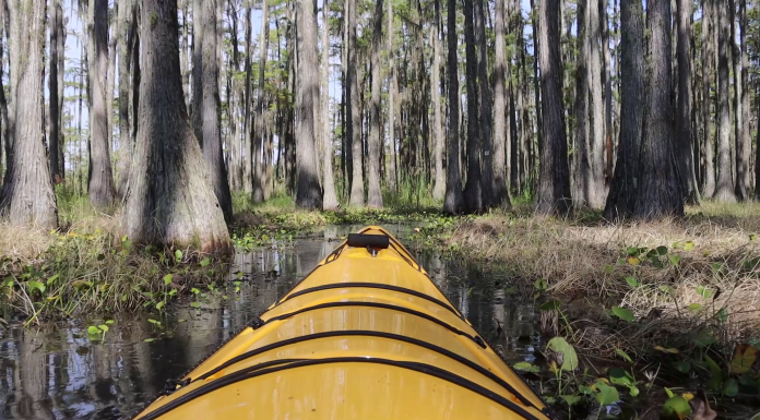 Lower Lake Lafayette: Kayak Tallahassee’s Hidden Swamp A tent in the middle of a forest