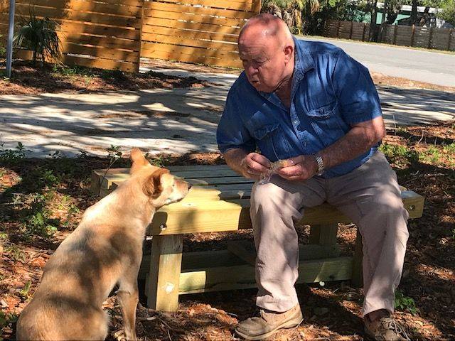 A yellow dog and a man sitting on a bench.  They are looking at each other.