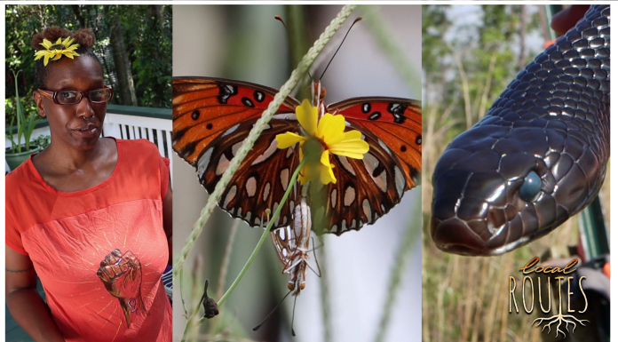 Joy, Exploration, and Discovery Outdoors (Episode 802) Woman, Butterfly, Snake