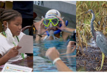 Curiosity about our community leads us to an underwater sport and more A group of people looking at a bird