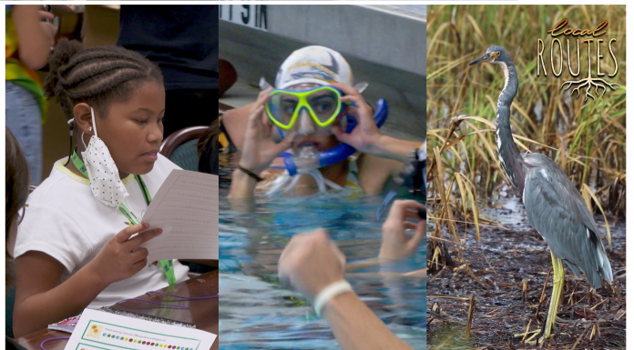 Curiosity about our community leads us to an underwater sport and more A group of people looking at a bird