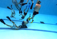 Something Completely Different: Underwater Rugby A flock of seagulls are swimming in the water