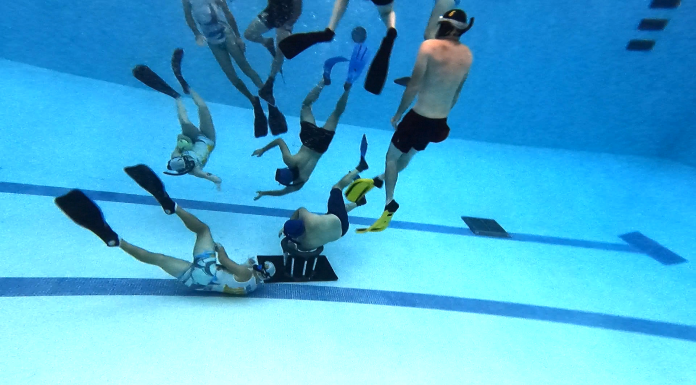 Something Completely Different: Underwater Rugby A flock of seagulls are swimming in the water