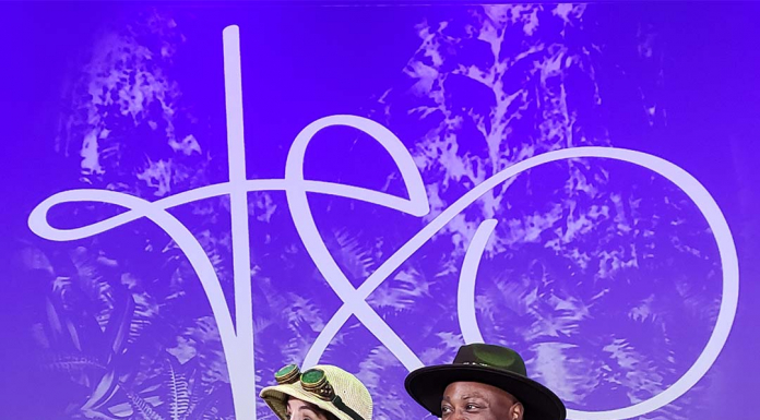 Join us on a TSO Symphonic Safari Adventure! A man standing on a stage posing for the camera