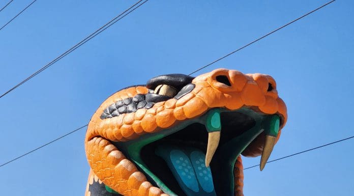 Skateboarding at Tallahassee’s Skateable Art Park on FAMU Way
