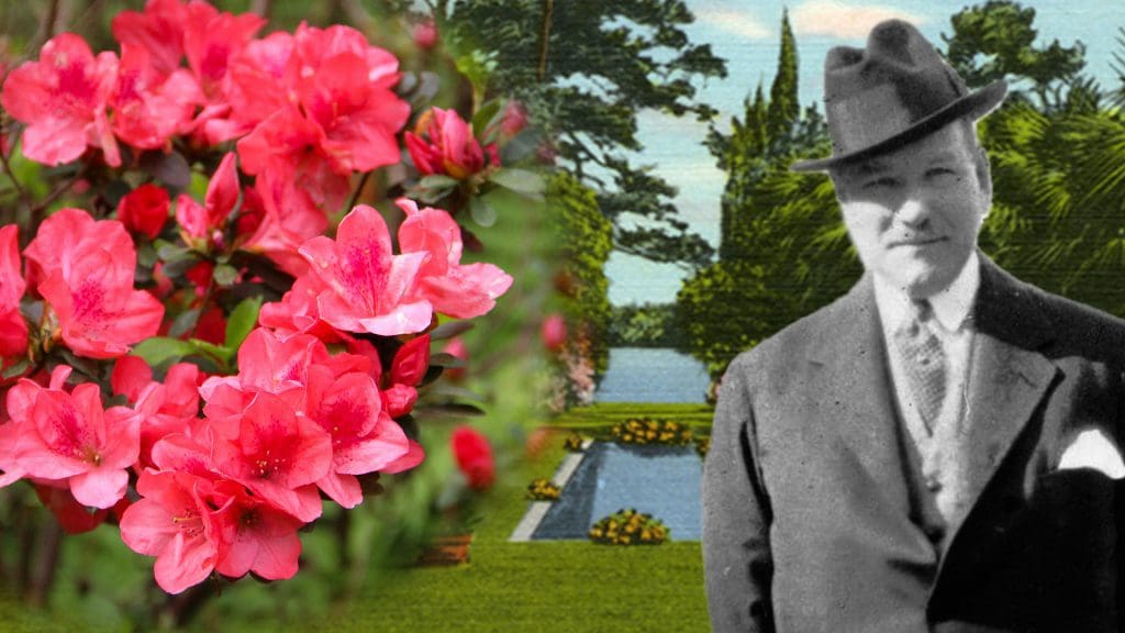 Composite photo of red azaleas, a reflecting pool surround by grass and a man wearing a suit and hat