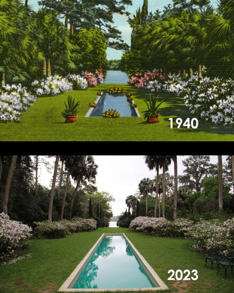 a reflecting bond and flowers in 1940 and in 2023