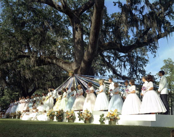 A group of young women standing in light or pastel colored ball gowns standing on a stage in front of a maypole and a giant tree.