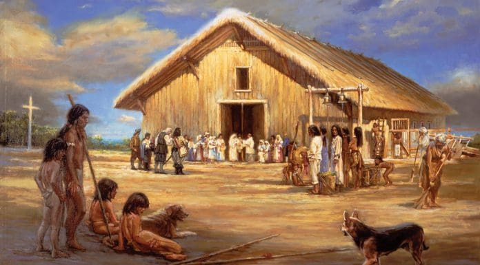 Florida Footprints: 500 years of North Florida History A group of cattle standing on top of a building