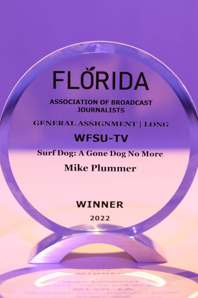 glass award over purple and pink background