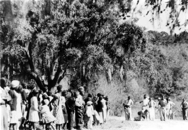 A group of people standing next to a tree