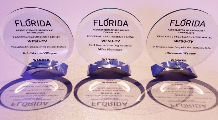 Three WFSU Local Routes videos win major awards For stories about our community Diagram