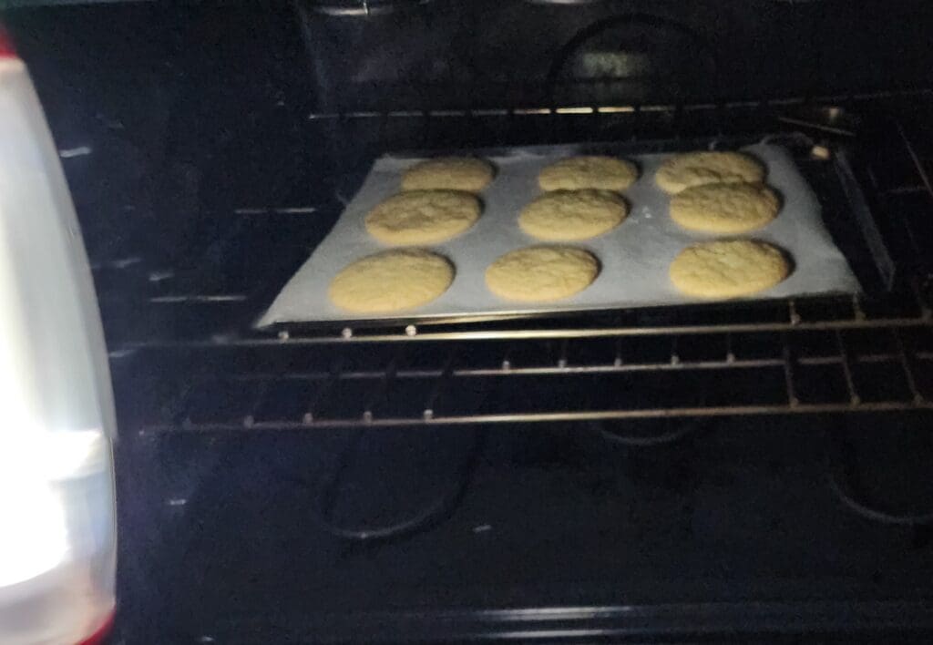 Light colored cookies in an oven with a light shining from left.