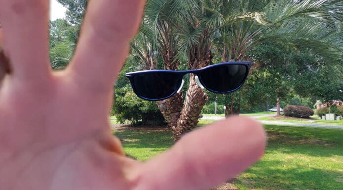 4-Headed Pindo Palm Found Hiding in Plain Sight A close up of a hand in front of a palm tree with sunglasses.
