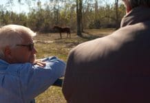 Picking Up The Pieces In Blountstown, Part 1 Two men gaze at field with horses