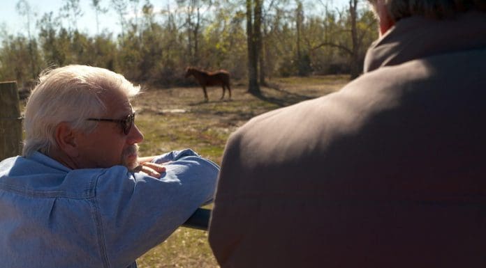 Picking Up The Pieces In Blountstown, Part 1 Two men gaze at field with horses