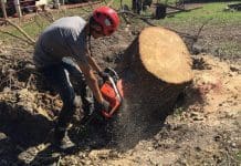 Picking Up The Pieces In Blountstown, Part 2 Man in hardhat uses chainsaw to cut large tree