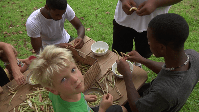 Good Taste Tally: Hands-On Learning Through Farming