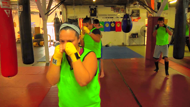 What is Mixed Martial Arts?