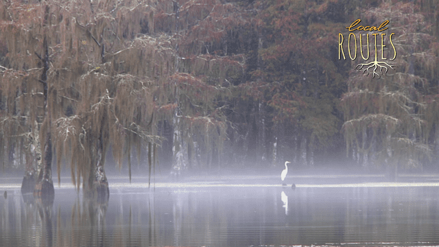 Local Routes – Episode 109