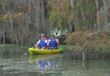 Diving into Discovery at Merritt”™s Mill Pond
