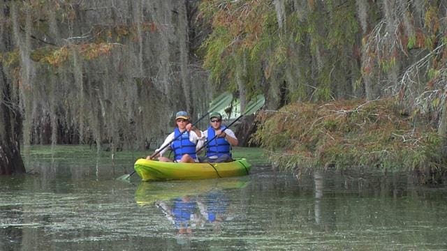 Diving into Discovery at Merritt”™s Mill Pond