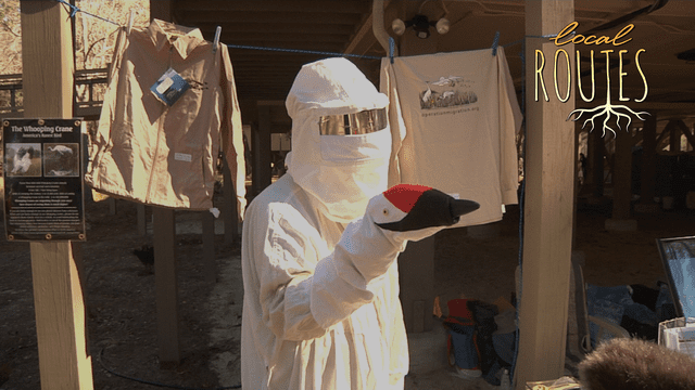 Local Routes – Episode 113