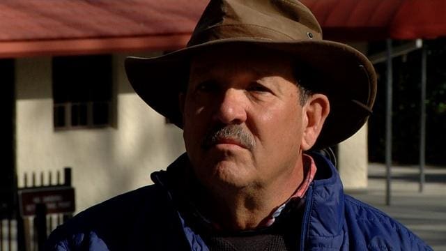 Is Artifact Collecting a Threat to Archeology in Florida?