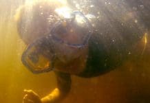 Roaming the Red Hills | Longleaf, Lakes, Fire, & Food