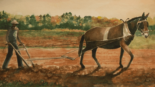 Local Routes – Episode 122