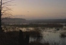 Farms & Lakes | Roaming the Red Hills