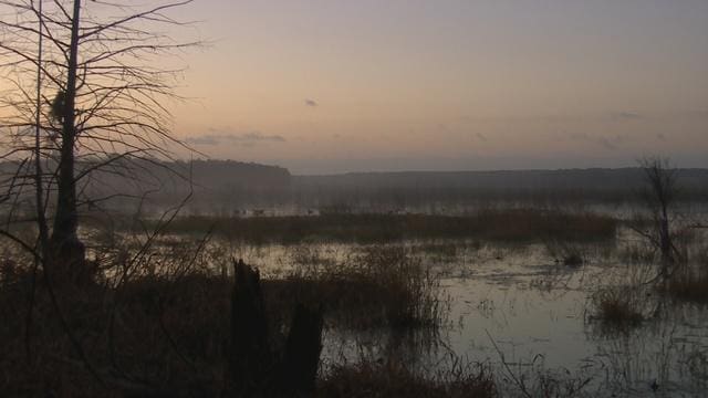 Farms & Lakes | Roaming the Red Hills