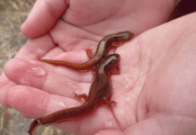 Local Routes – Episode 127