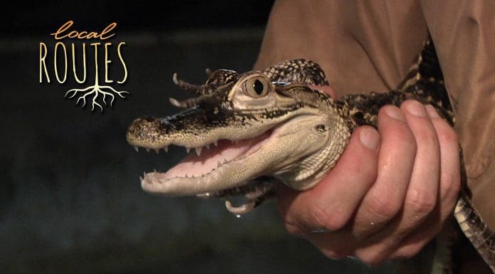 Local Routes – Episode 203