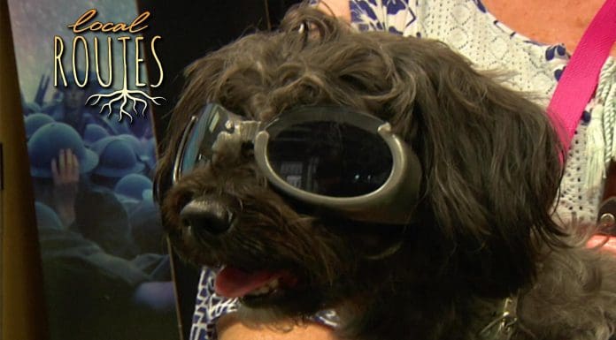 Local Routes – Episode 302 Long haired brown dog wears goofy sunglasses