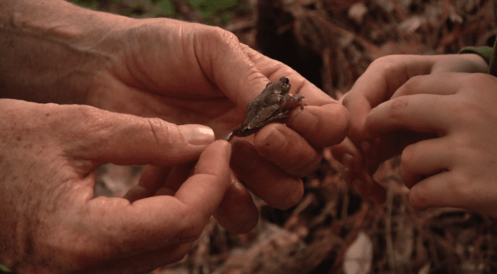 Local Routes – Episode 315 bugs crawling all over hands