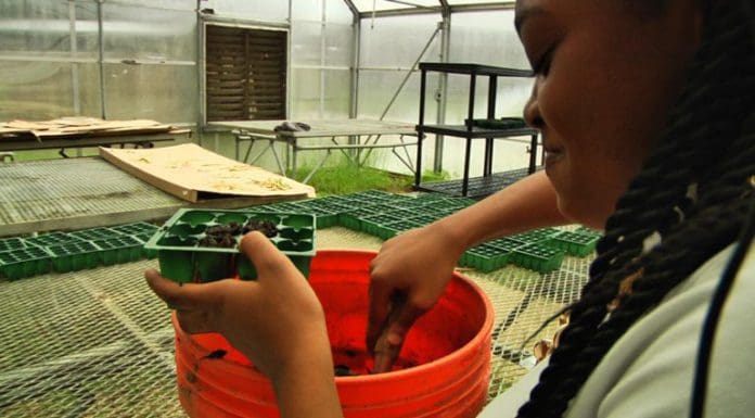 Success Academy | Learning STEM, Garden to Cafeteria