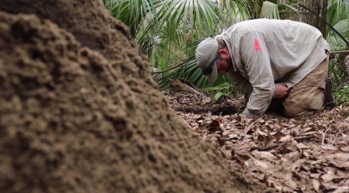 Refuge Archeology 2 | Discovering the Spring Creek Village archeologist excavates site at spring creek