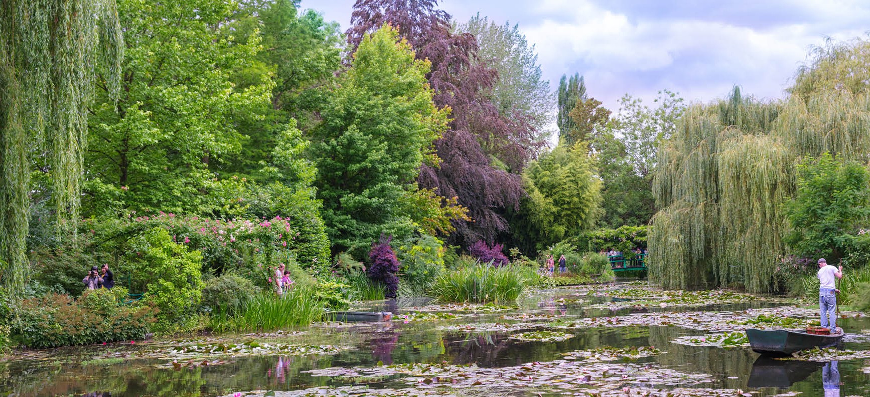 lush greenery surrounding a lillypad covered pond with a small boat floating
