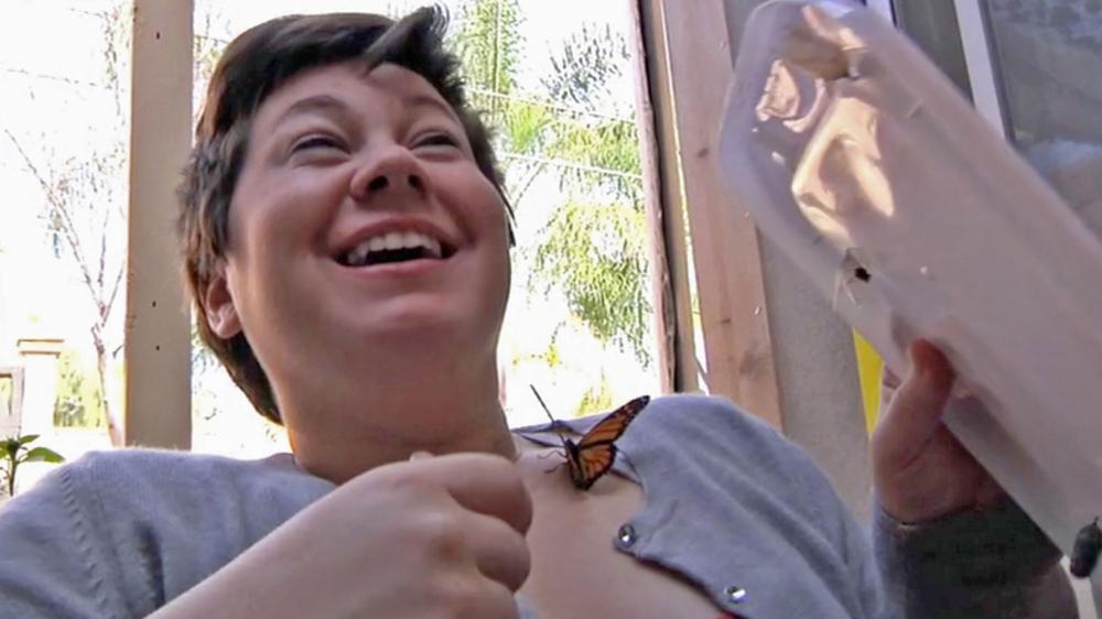 A butterfly making someone laugh