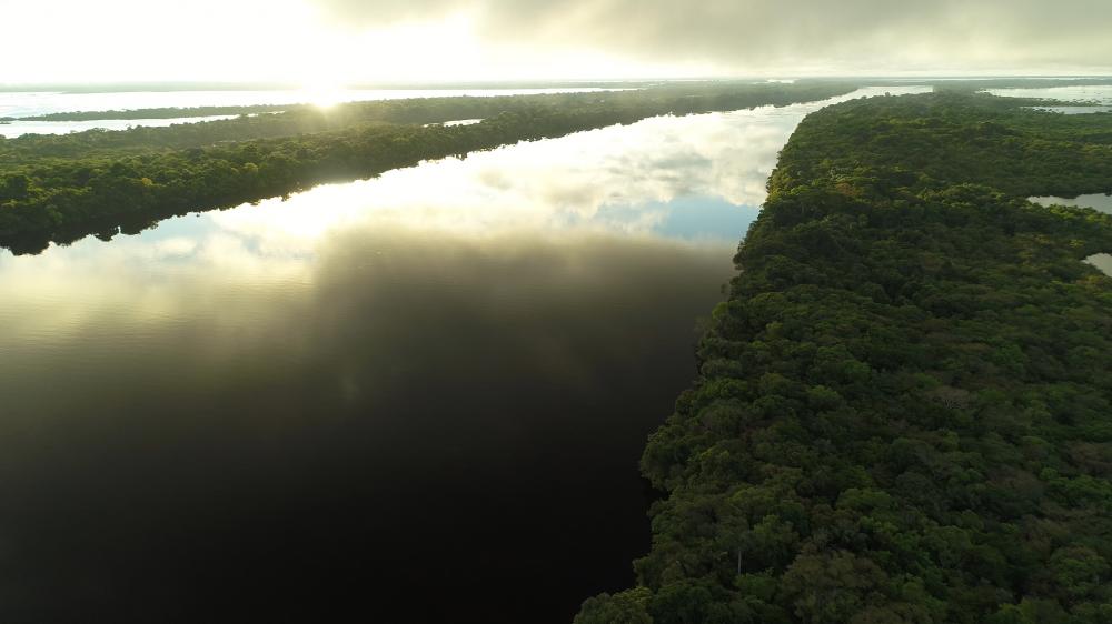 Drone shot of the Amazon River