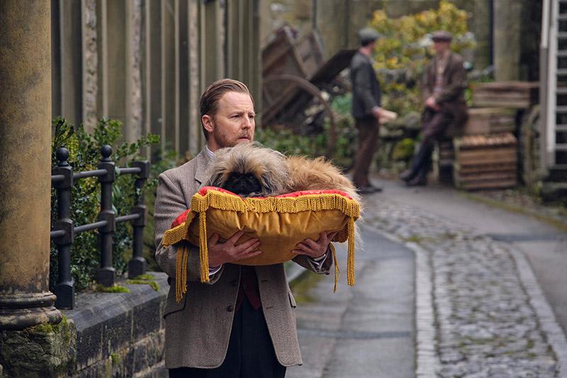 man walking down cobblestone alleyway holding a dog on a pillow